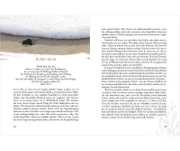 Vertrauen - 50 ermutigende Impulse für Frauen