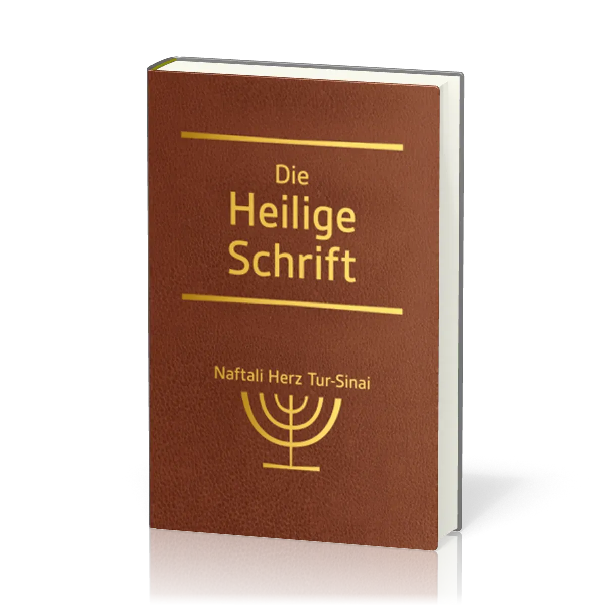 Die Heilige Schrift - Altes Testament (Kunstleder)
