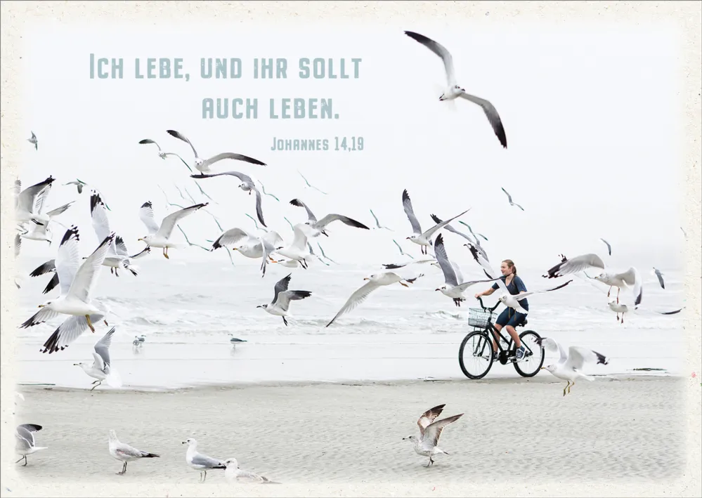 Postkarten Ich lebe - Möven am Strand