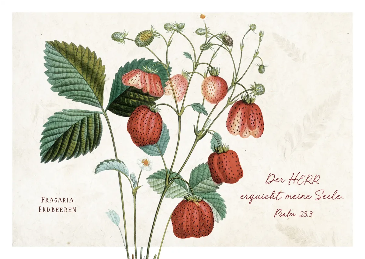 Postkarten Psalm 23 - Erdbeeren