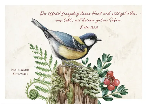 Postkarten Du sättigst alles was lebt - Kohlmeise