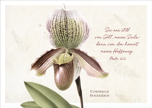 Postkarten Sei nur still - Frauenschuhblüte