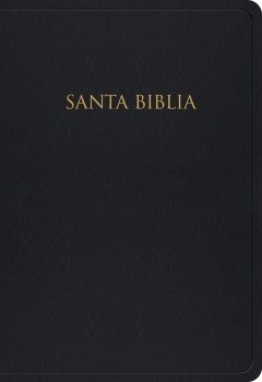 Spanisch, Bibel Reina Valera 1960, Konkordanz