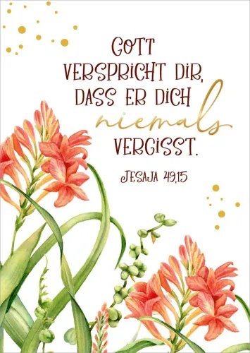 Postkarten Niemals vergisst GF