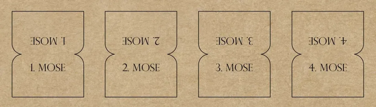 Bibel-Griffregister Kraftpapier