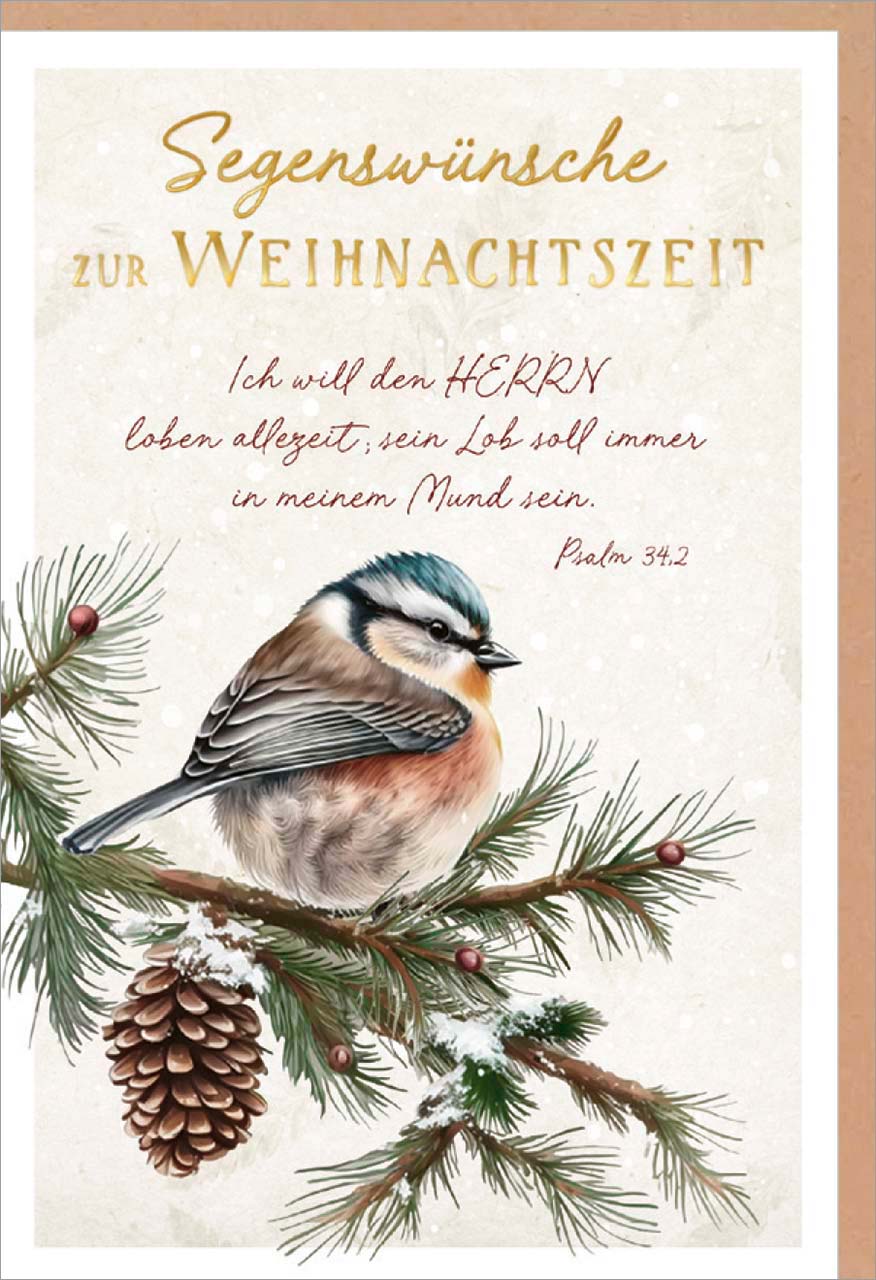 Faltkarte Weihnachten Vogel auf Zweig GF