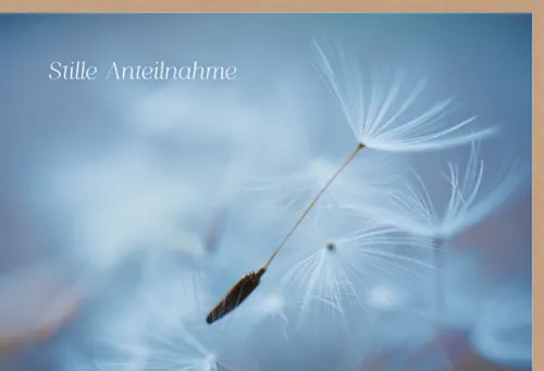 Faltkarte Trauer Stille Anteilnahme Löwenzahn