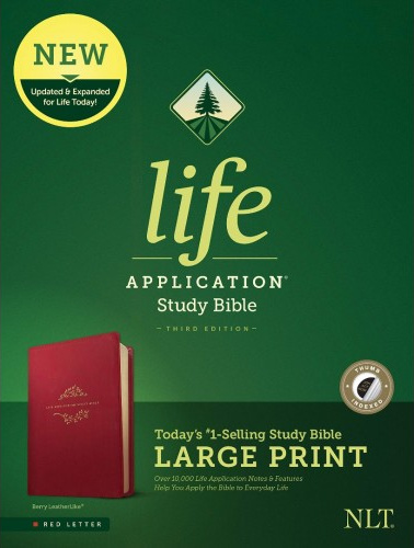 Englisch, Bibel New Living Translation, Life Application Study Bible, Kunstleder, beerenrot