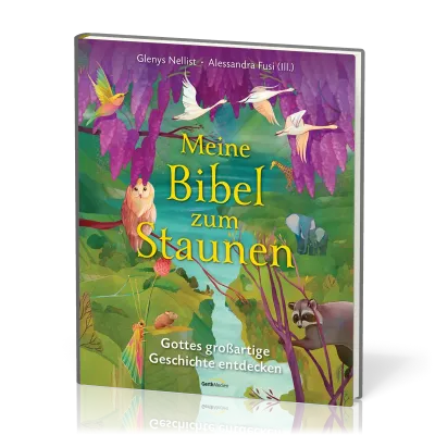 Meine Bibel zum Staunen - Gottes großartige Geschichte entdecken