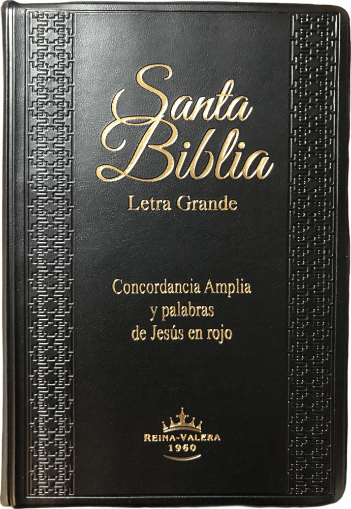 Spanisch, Bible Reina Valera 1960, Grossdruck, Vinyl, schwarz, Griffregister, Konkordanz