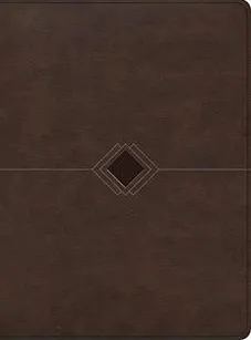 Spanisch, Studienbibel  Reina Valera 1960, Kunstleder, Kastanien