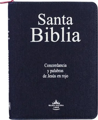 Spanisch, Bibel Reina Valera 1960, Grossdruck, Jeans, rosa Schnitt