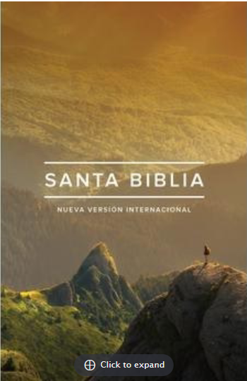 Spanischl, Bibel Nueva Versión Internacional, broschiert, illustrierter Einband