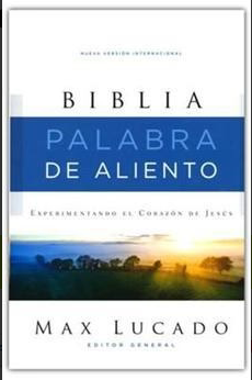 Spanisch, Bibel Nueva Versión Internacional, Max Lucado, gebunden, grau, Text zweifarbig