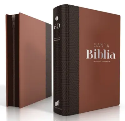 Spanisch, Bibel Reina Valera 1960, Grossdruck,Griffregister, Konkordanz, schwarz