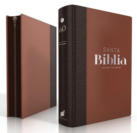 Spanisch, Bibel Reina Valera 1960, Grossdruck,Griffregister, Konkordanz, schwarz