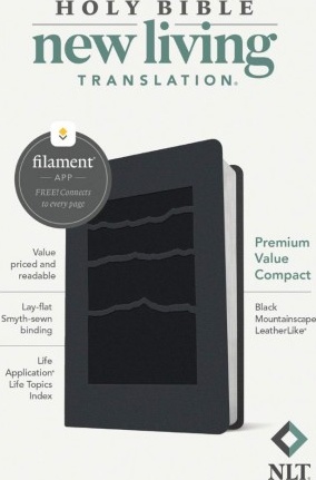 Englisch, Bibel New Living Translation, kompakt, Kunstleder, grau