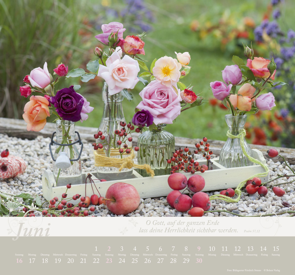 Kalender Im Garten zuhause - Posterkalender