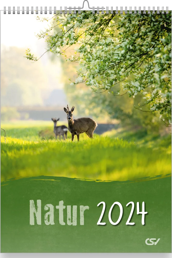 Natur, Wandkalender