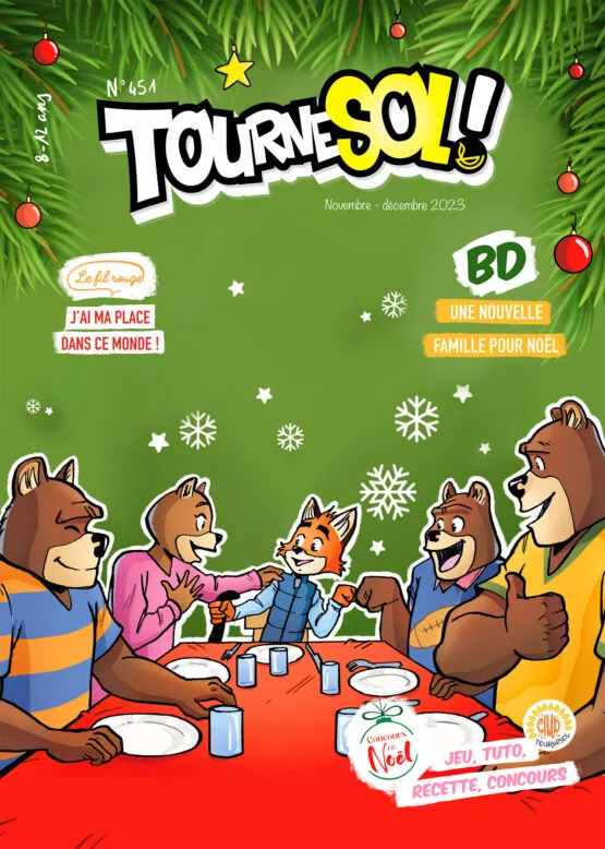 Tournesol spécial Noël 2023 - Lot de 10 exemplaires