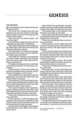 Englisch, Bibel New American Standard Bible, Grossdruck, Kunstleder, braun