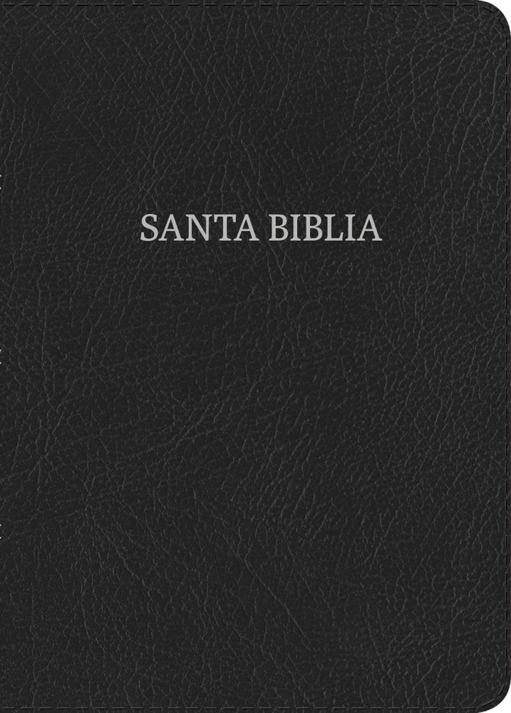 Spanisch, Bibel Reina Valera 1960, Grossdruck, schwarz, fibroleder, Griffregister