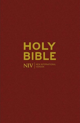 Englisch, Bibel New International Version, kartonniert, bordeaux
