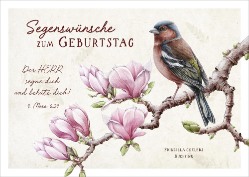 Postkarten Der Herr segne dich und behüte dich ! - Vogel