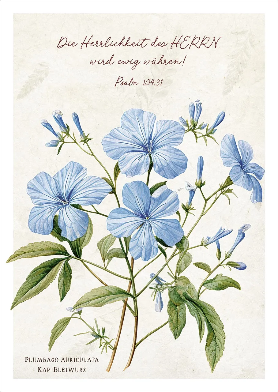 Postkarten Die Herrlichkeit des Herrn - Blumen blau