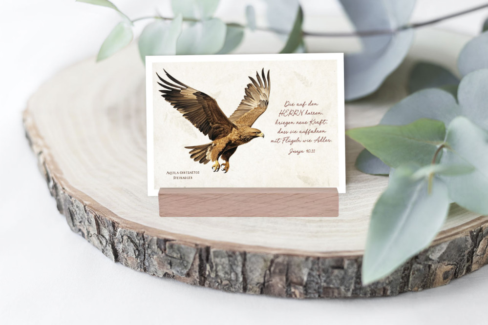 Postkarten Die Herrlichkeit des Herrn - Blumen blau