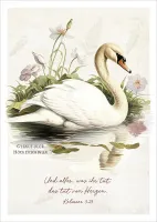 Postkarten Und alles, was ihr tut, das tut von Herzen - Höckerschwan