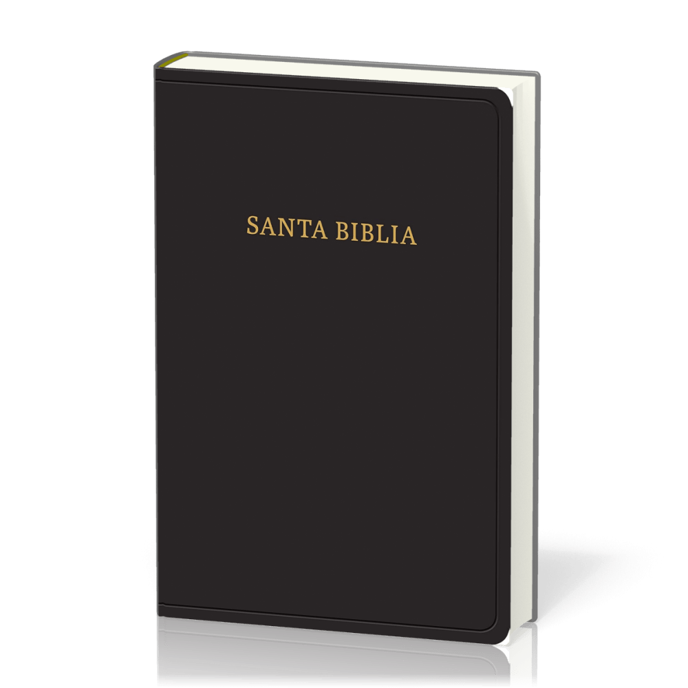 Spanisch, Bible Reina Valera 1960, Grossdruck, Fibroleder, schwarz