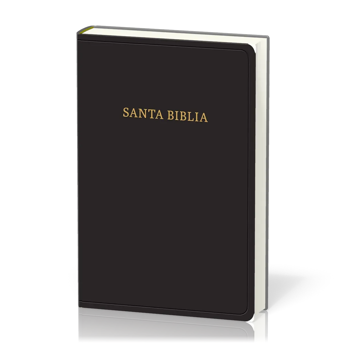 Spanisch, Bible Reina Valera 1960, Grossdruck, Fibroleder, schwarz