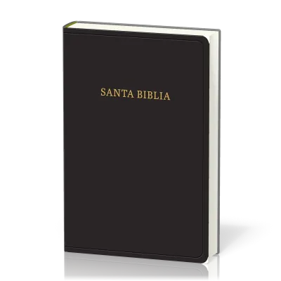 Spanisch, Bible Reina Valera 1960, Grossdruck, Fibroleder, schwarz