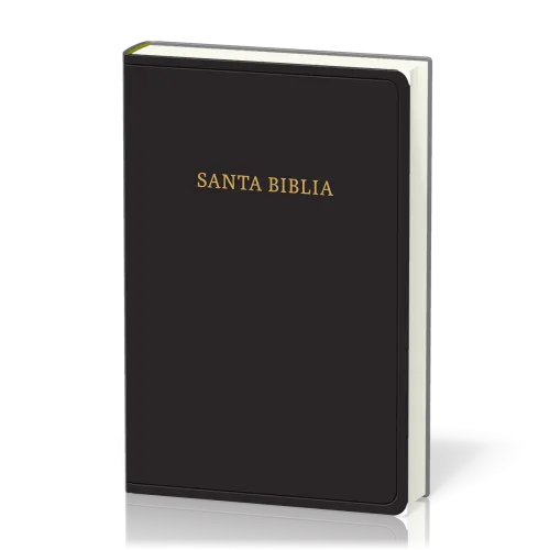 Spanisch, Bible Reina Valera 1960, Grossdruck, Fibroleder, schwarz
