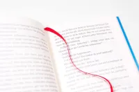 Das Huhn von Thun - Und weitere Geschichten der Zwillinge Max und Mia