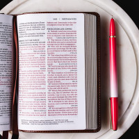 Englisch, Bibel New King James Version, Kompakt, Leder, blau