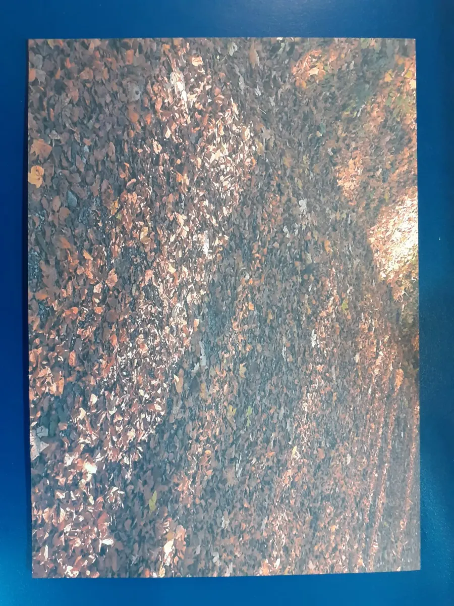 Karte - Licht und Schatten - Wie gemalt