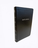 Spanisch, Bible Nueva Versión Internacional, Santa Biblia, schwarz