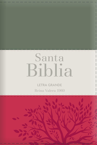 Espagnol, Bible, Reina Valera 1960, gros caractères, moyen format, similicuir souple tricolore...