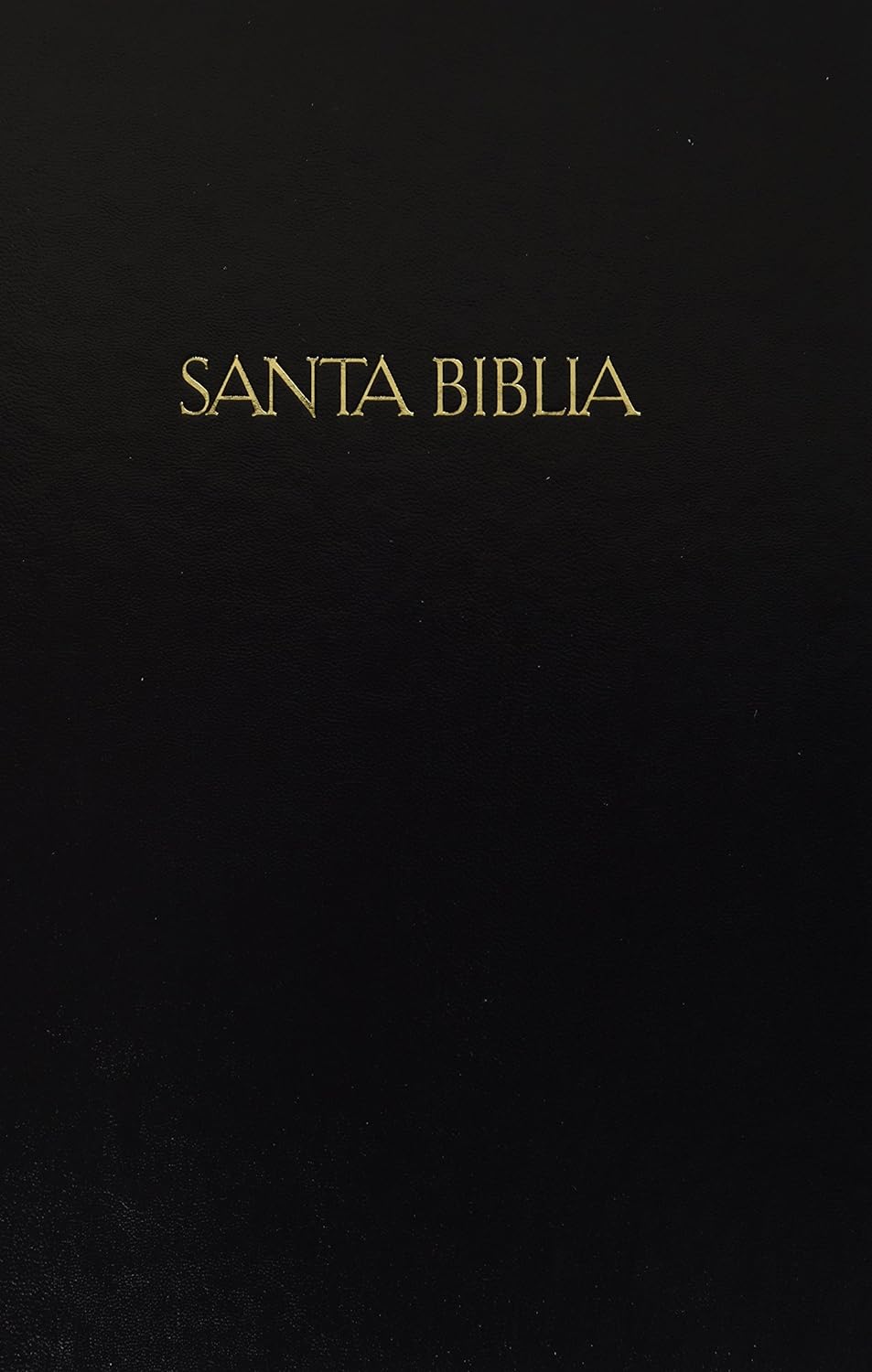 Espagnol-Anglais, Bible bilingue, Reina Valera 1960 - King James Version, gros caractères, rigide...