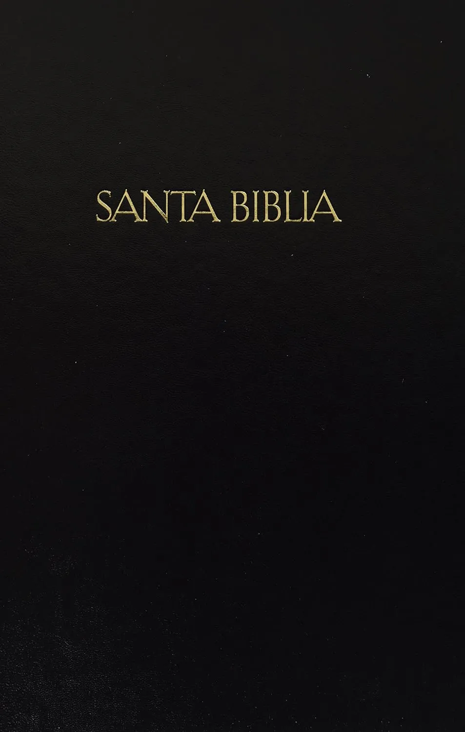 Espagnol-Anglais, Bible bilingue, Reina Valera 1960 - King James Version, gros caractères, rigide...