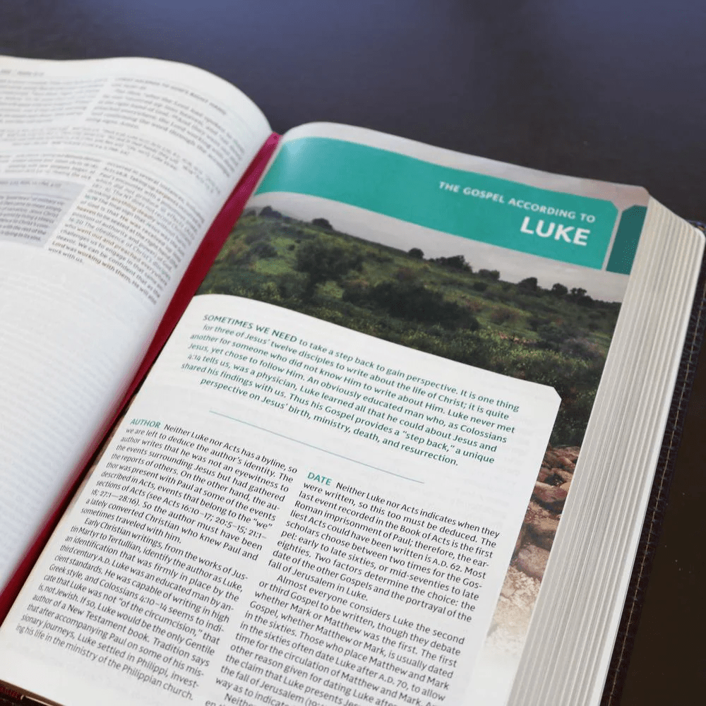 Englisch, Studienbibel New King James Version, Grossdruck, Hardcover, illustrierter Einband,...