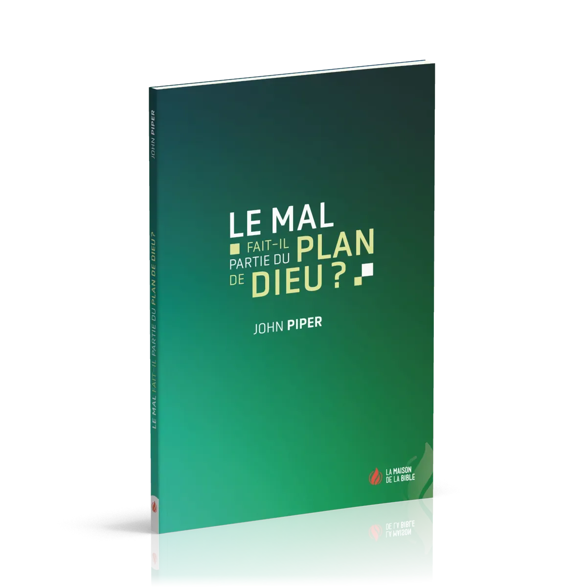 Mal fait-il partie du plan de Dieu ? (Le)