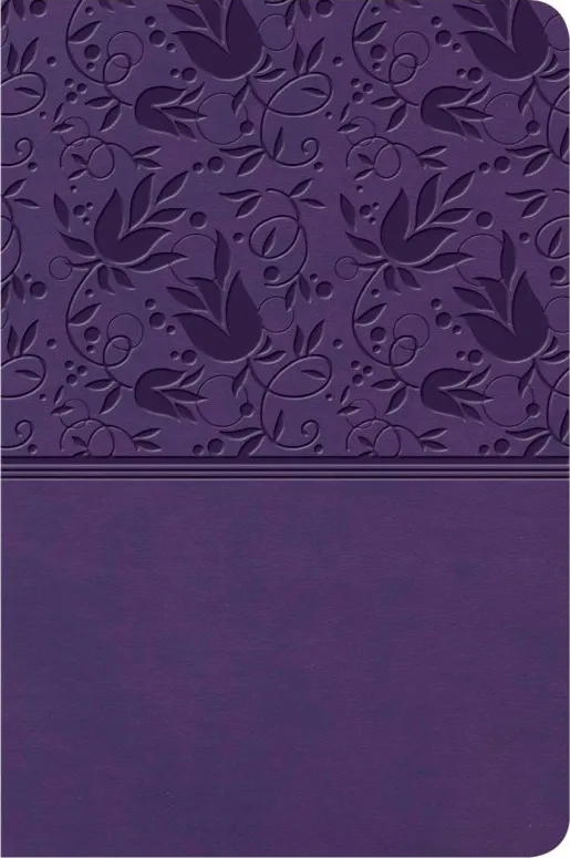 Englisch, Referenzbibel King James Version, Grossdruck, kompakt, Kunstleder, lila