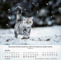 Chats, Merveilles de la création - Calendrier de table