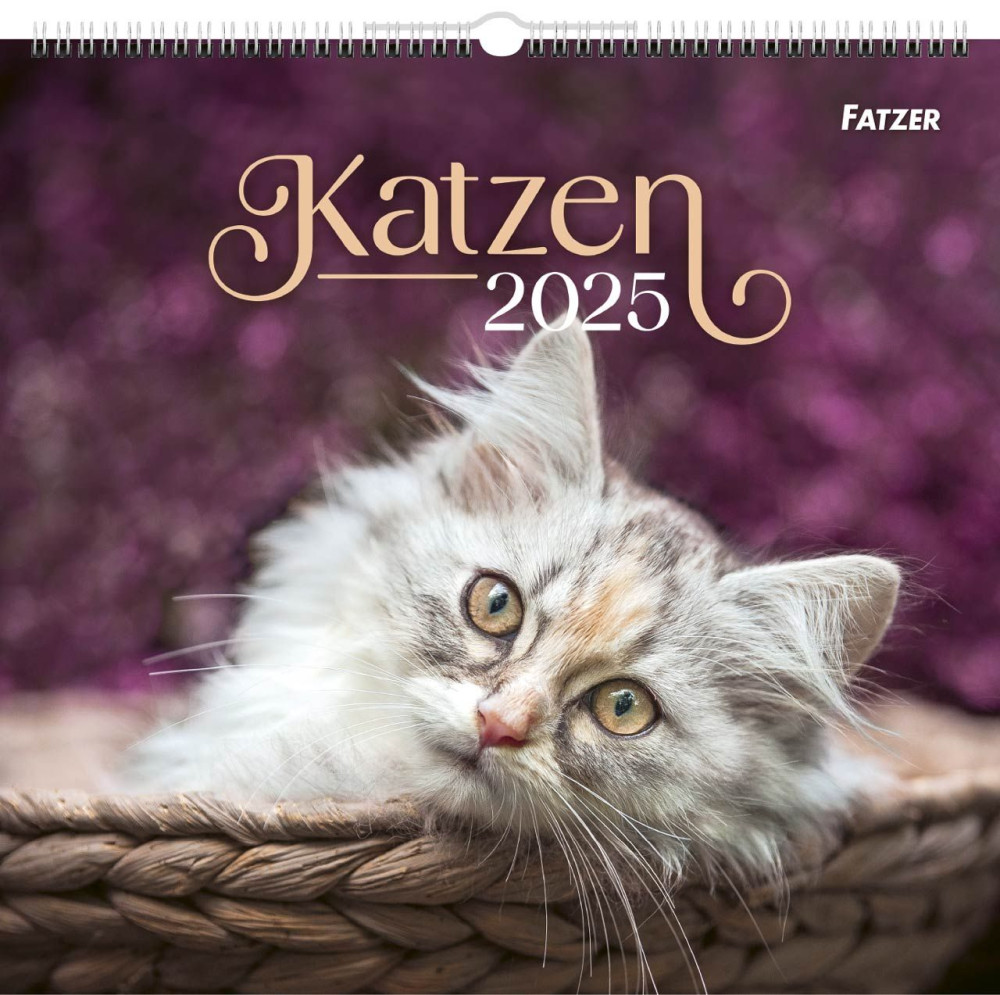 Katzen - Wandkalender