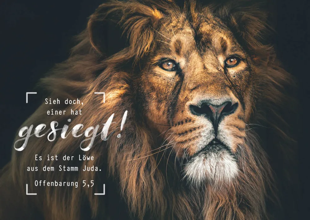 Postkarten majestätischer Löwe - Offenbarung 5,5