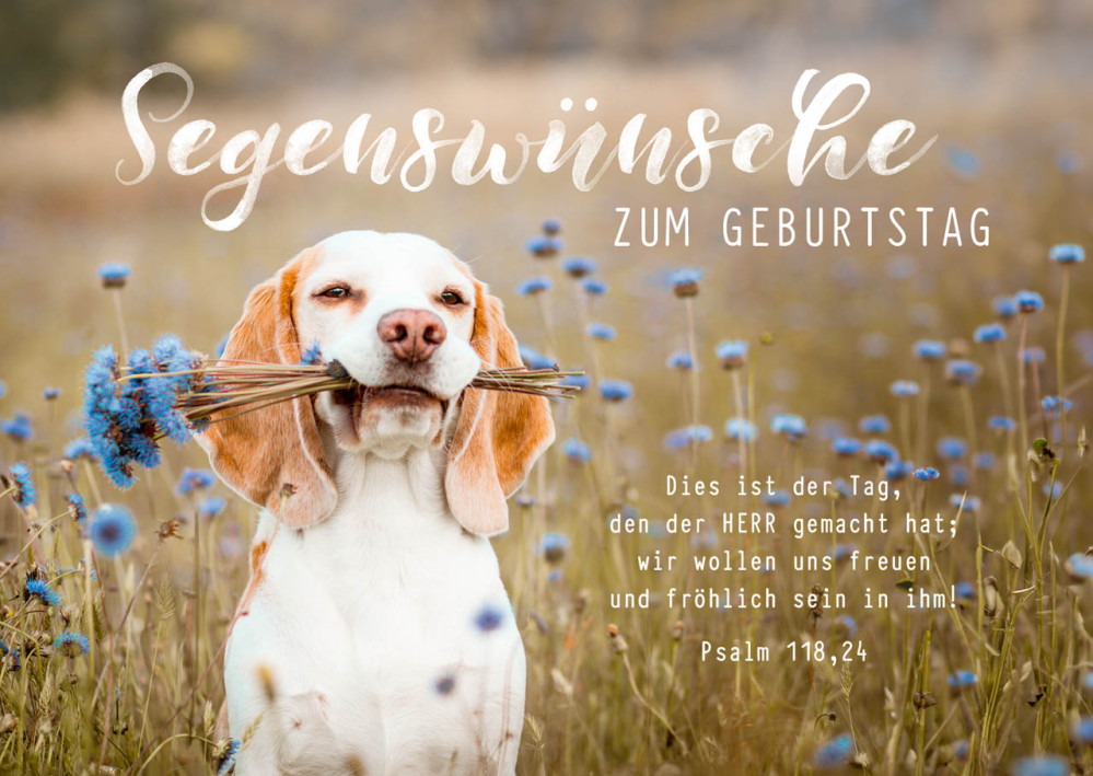 Postkarten süßer Hund zum Geburtstag - Psalm 118,24