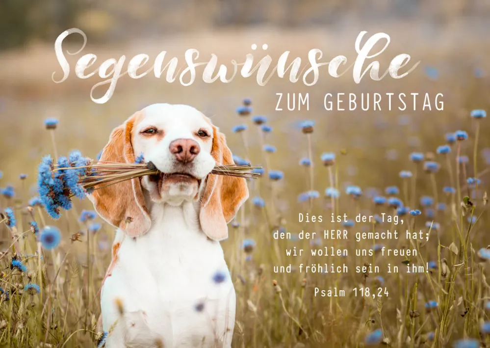 Postkarten süßer Hund zum Geburtstag - Psalm 118,24